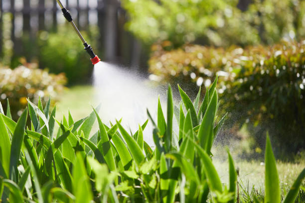 24/7 Emergency Ant Control experts in Glasgow, KY